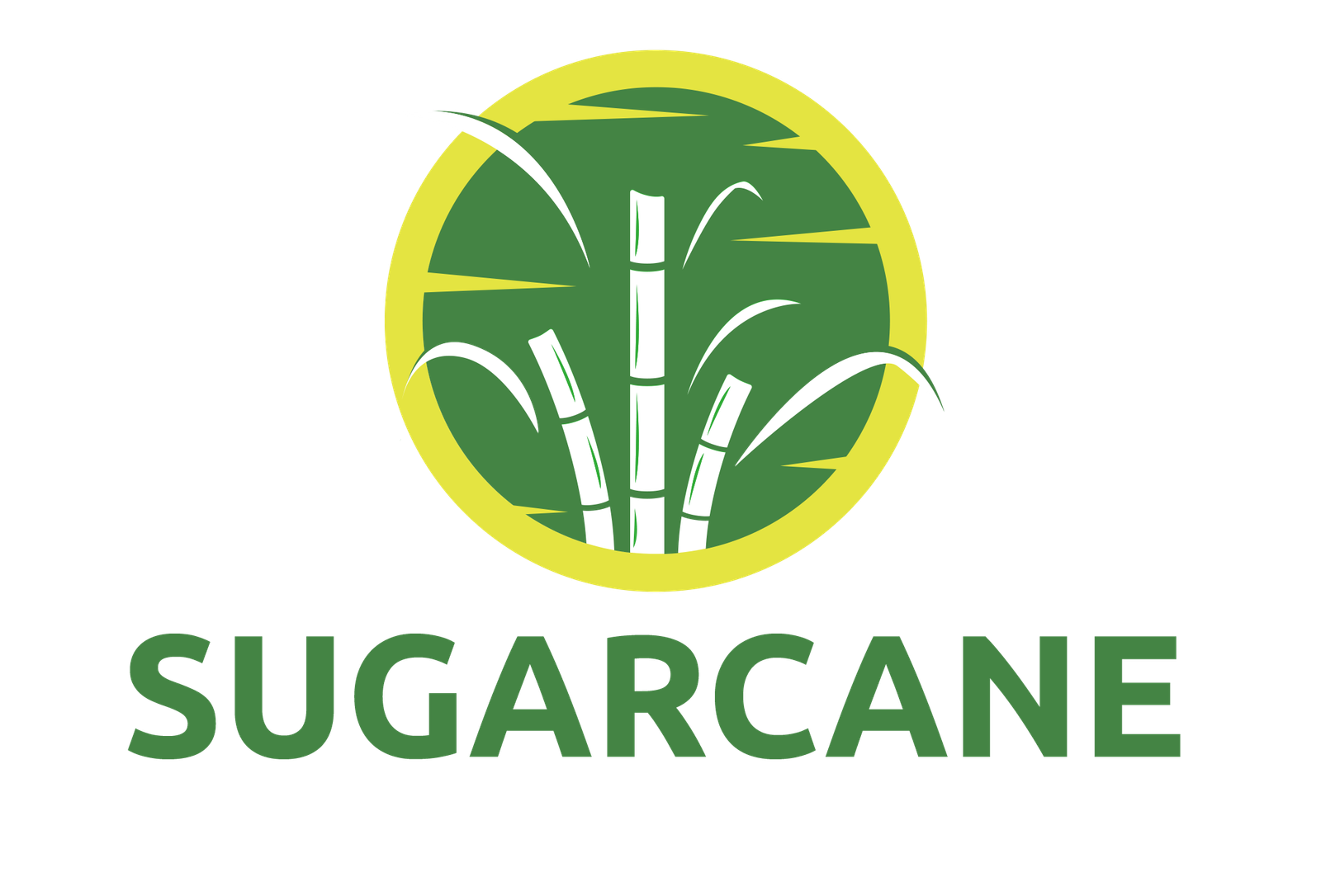 Sugarcane Logo